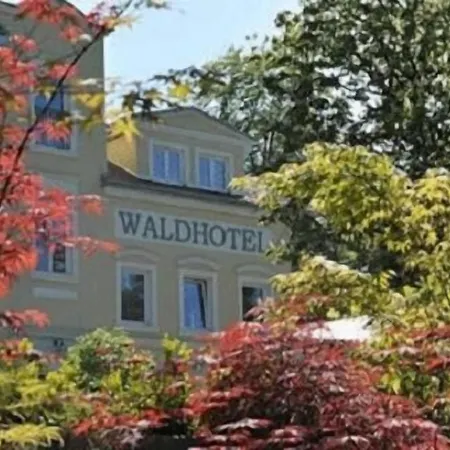 Waldhotel מלון