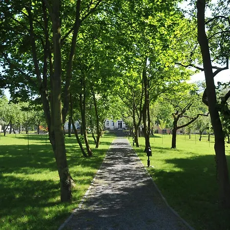 Waldhotel 4* رينباخ