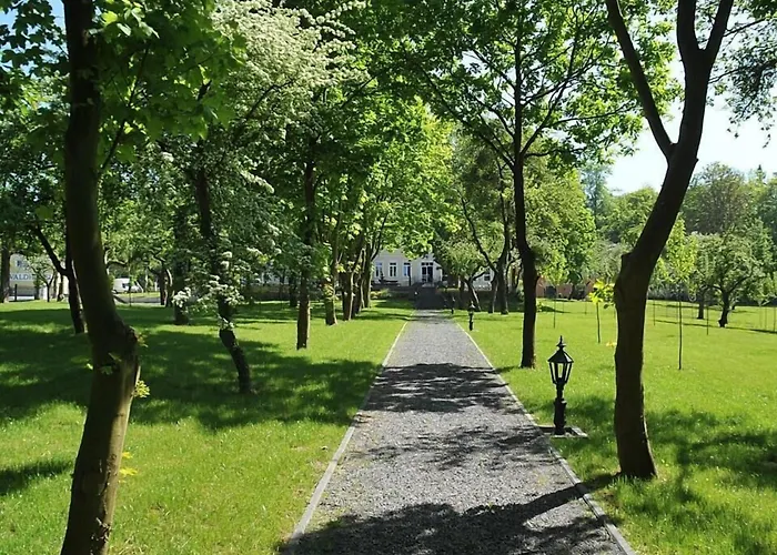 Waldhotel 4* رينباخ