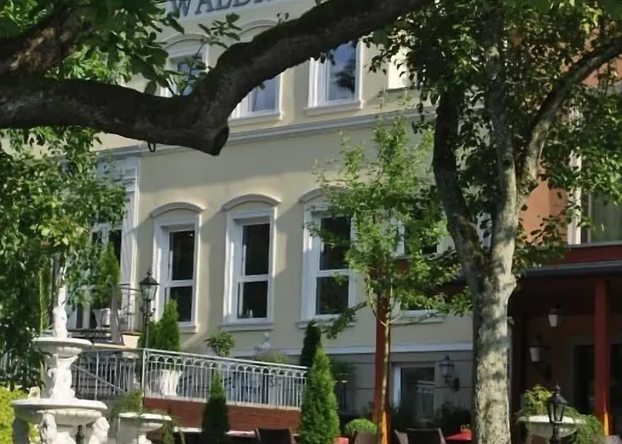 Отель Waldhotel 4*