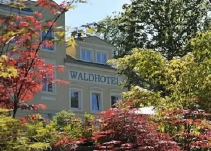 Waldhotel Hotel