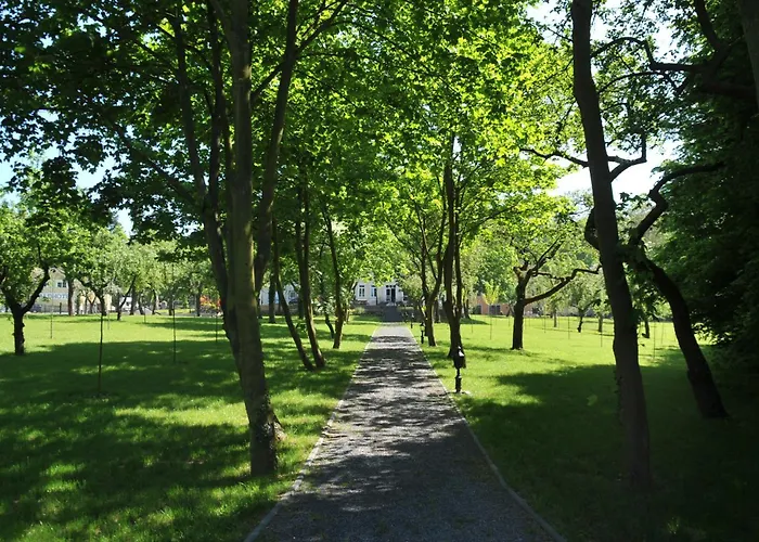 Waldhotel 4* رينباخ